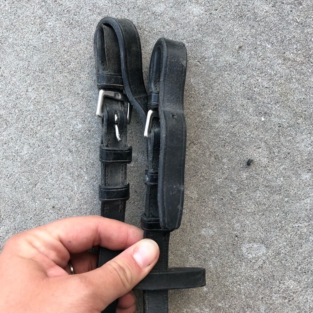 English horse reins